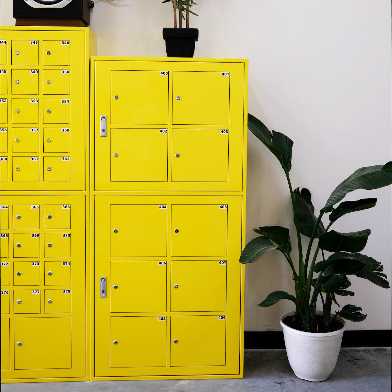 PRIVATE MAILBOX | LARGE ANNUAL